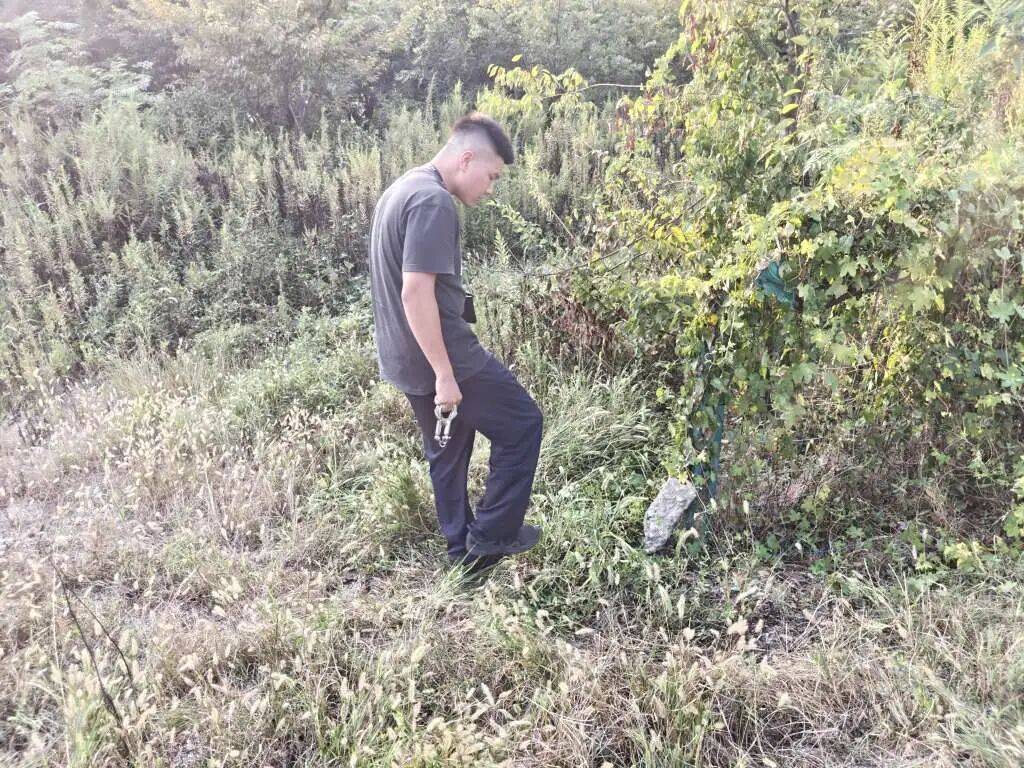 皇冠信用網在线注册
_浙江一姑娘以奶茶为记号皇冠信用網在线注册
,竟然在草丛里藏了11万现金!