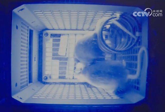 皇冠信用網注册开户
_神舟二十一号升空!现在的问题是皇冠信用網注册开户
,导师上天了,组会还开吗?