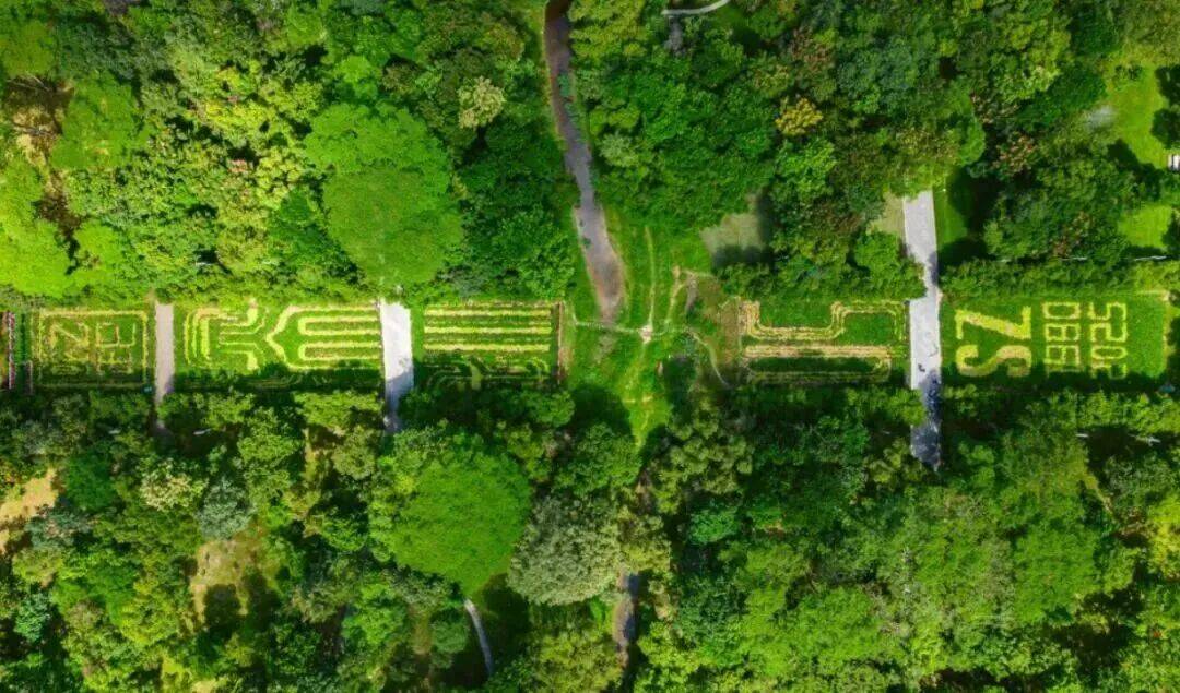 皇冠信用網结算日
_深圳市中心竟有一大片“红薯地”皇冠信用網结算日
！官方紧急提醒：请勿私挖
