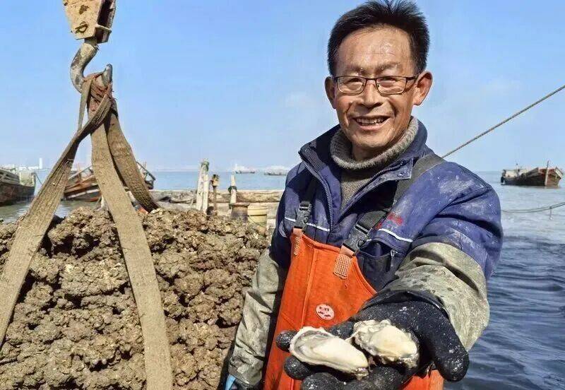 皇冠信用登2代理_批发价2元一斤皇冠信用登2代理，青岛这种海鲜卖爆了，1600万斤已上岸……