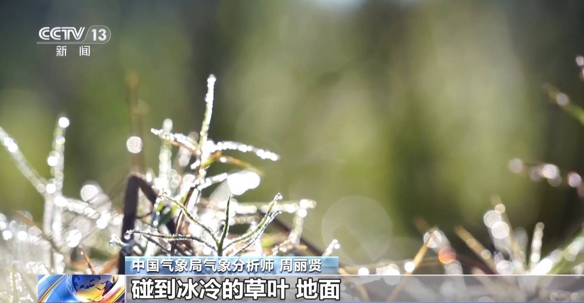 皇冠平台出租_霜降天一定会降霜吗皇冠平台出租？霜降≠降霜