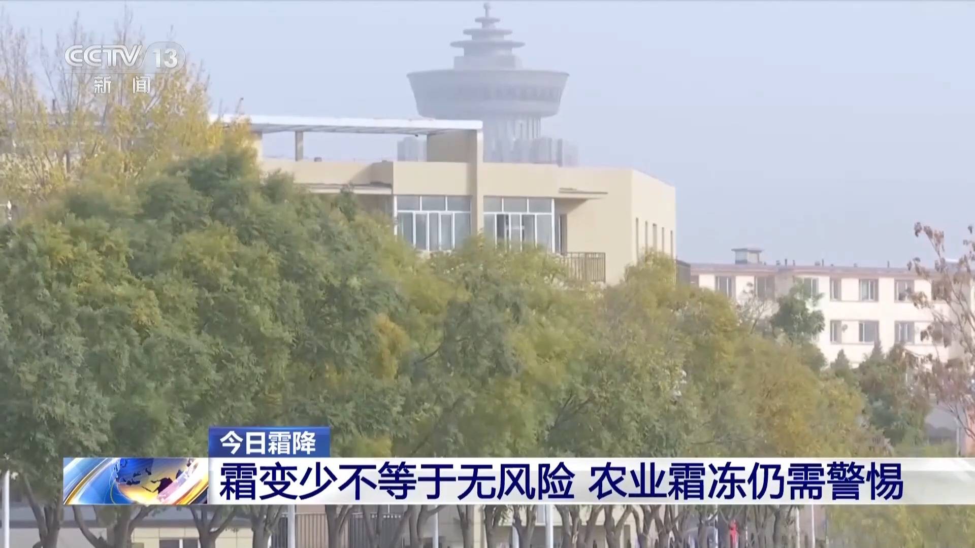 皇冠平台出租_霜降天一定会降霜吗皇冠平台出租？霜降≠降霜